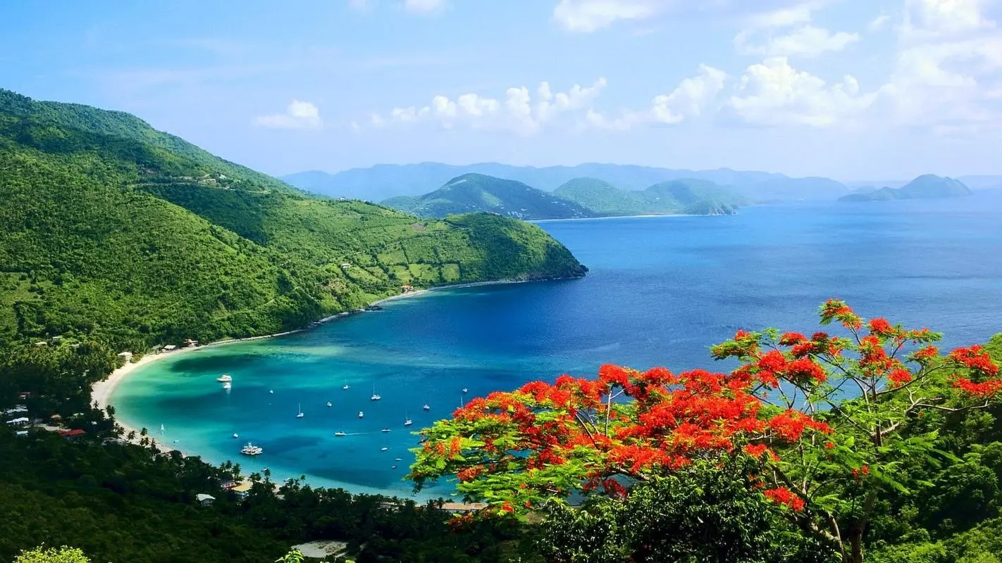 高效智慧高端